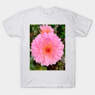 Monterey Floral Study 9 T-Shirt